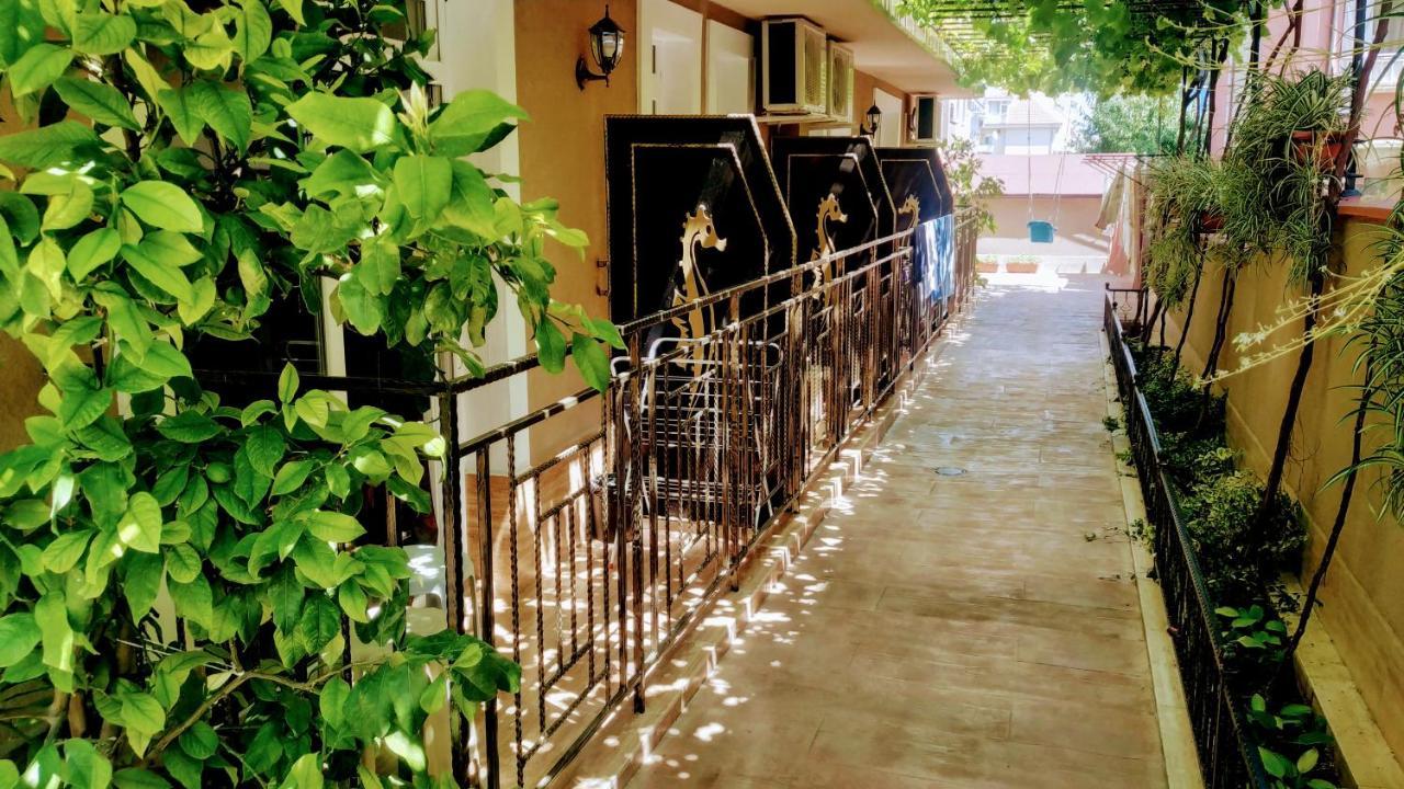 Dracena Guesthouse Ravda Buitenkant foto